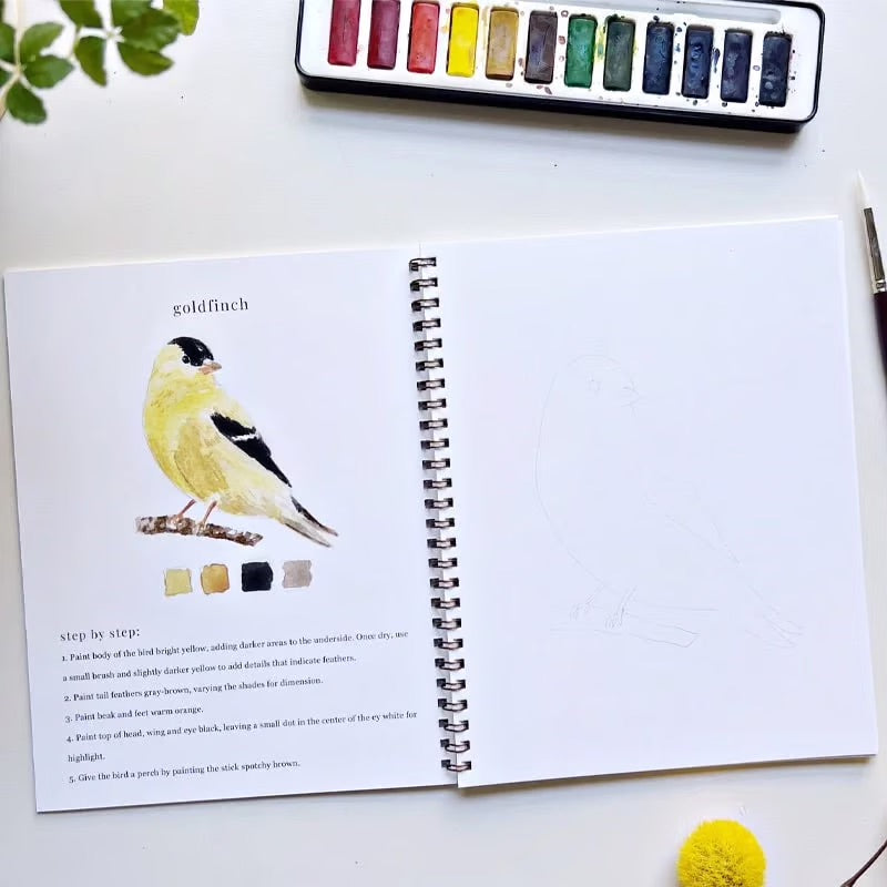 AquaLoom™ – donde la creatividad y la relajación se unen 🎨