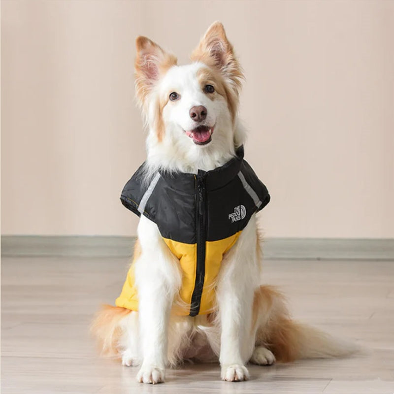Scudo - Il cappotto invernale che unisce stile, calore e sicurezza